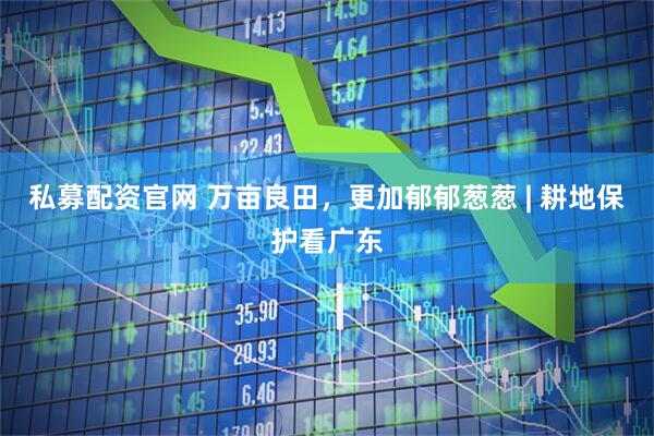 私募配资官网 万亩良田，更加郁郁葱葱 | 耕地保护看广东