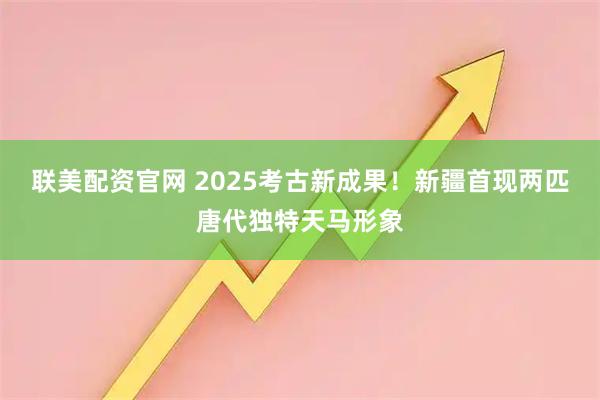 联美配资官网 2025考古新成果！新疆首现两匹唐代独特天马形象