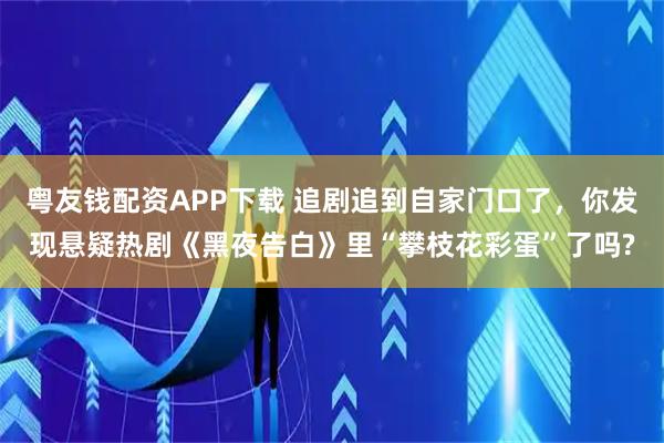 粤友钱配资APP下载 追剧追到自家门口了，你发现悬疑热剧《黑夜告白》里“攀枝花彩蛋”了吗?